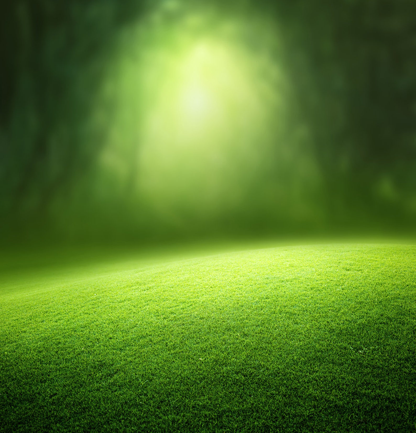 Green Garden Backdrop secret garden spring forest grass Etsy