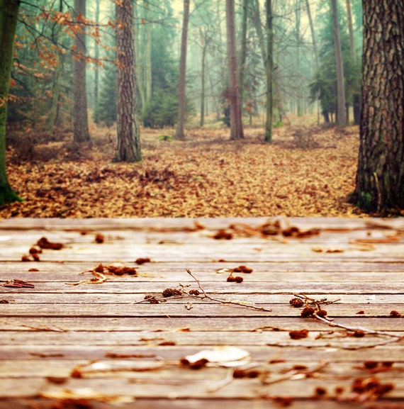 Fall Woods Backdrop Autumn Forest Fallen Leaves Wood Floor Etsy