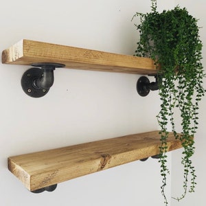 May include: Two wooden shelves with black metal pipe brackets. The shelves are mounted on a white wall. A potted plant with trailing green vines hangs from the top shelf.