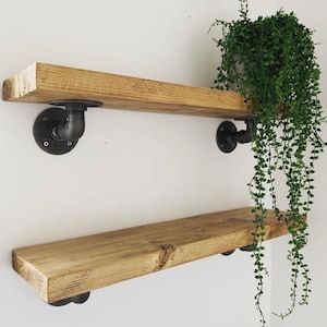 May include: Two rustic wooden shelves mounted on a white wall. The shelves are made of light-colored wood and supported by black pipe fittings. A trailing green plant hangs from the top shelf, adding a touch of nature to the design.