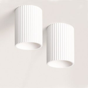 May include: Two white cylindrical ceiling lights with a ribbed texture. The lights are turned off and the interior of the lights is visible.