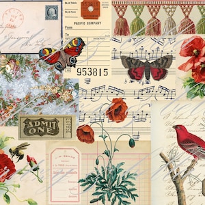 Feuille de larme botanique de fleur de pavot, A4 Papiers de journal indésirable imprimables, Feuille de larmes éphémères de collage, Oiseaux à thème rouge, Téléchargement numérique, Tags Tucks