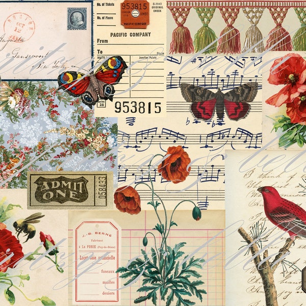 Poppy Flower Botanical Tear Sheet,A4 Printable Junk Journal Papers,Collage Ephemera Tear Sheet,Red Theme Birds,Digital Download,Tags Tucks