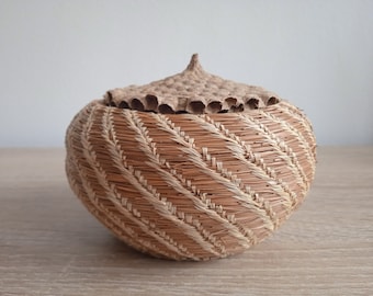 Pine Needle Basket with Wasp Nest Lid