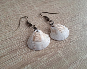 Small Natural Shell Earrings