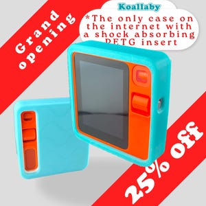Rabbit R1 Case