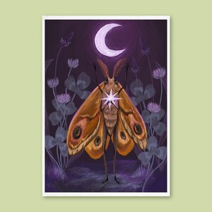 Art Print - Moth's Dream - Fantasy nature illustration, wall art