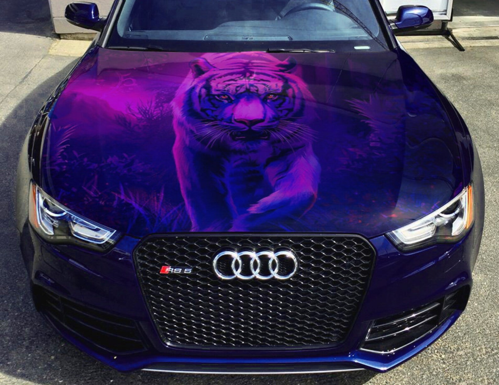 Vinyl Car Hood Full Color Wrap Graphics Decal Tiger in Purple | Etsy
