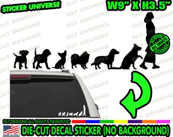 Crazy Dog Lady Dogs Follows Woman Cute Funny Car Window Die Cut Decal Bumper Sticker Animal Lover Puppy 799