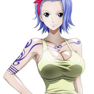 Nojiko tijdelijke Tattoo instellen uit één stuk. Borst en Arm stuk voor Cosplayers