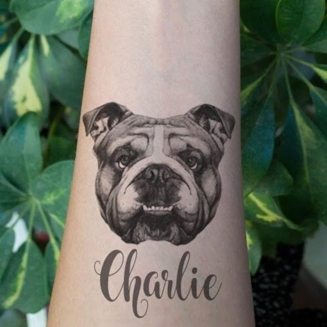 English Bulldog Temporary Tattoo. Custom Name. Dog Lover Gift - Etsy New Zealand