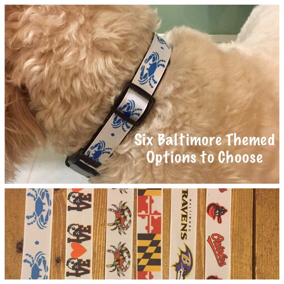 themed dog collars