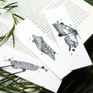 Einzelne oder Set-Lesezeichen mit Goldfolie – Lebenszyklus Schmetterling Papilio Machaon, Raupe, Puppe, Schwalbenschwanz-Schmetterling