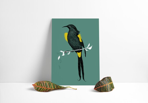 Bird Print 303 X 216 Cm Wall Art Digital Drawing Colour Etsy