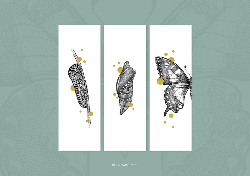 Single or Set bookmarks with Gold Foil Life Cycle Butterfly Papilio Machaon, caterpillar, pupae, swallowtail butterfly afbeelding 10