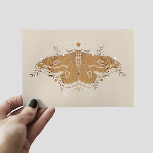 Moth Print A6 arte de pared, arte de pared interior, impresión de naturaleza botánica, postal, arte de insectos