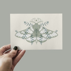 Moth Print A6 ウォールアート、インテリアウォールアート、植物自然プリント、ポストカード、昆虫アート