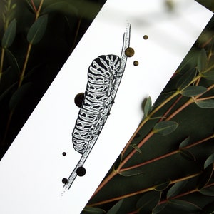 Single or Set bookmarks with Gold Foil Life Cycle Butterfly Papilio Machaon, caterpillar, pupae, swallowtail butterfly afbeelding 8