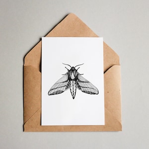 Elephant Moth print A6 wall art, black and white, dotwork, interior wall art, nature print