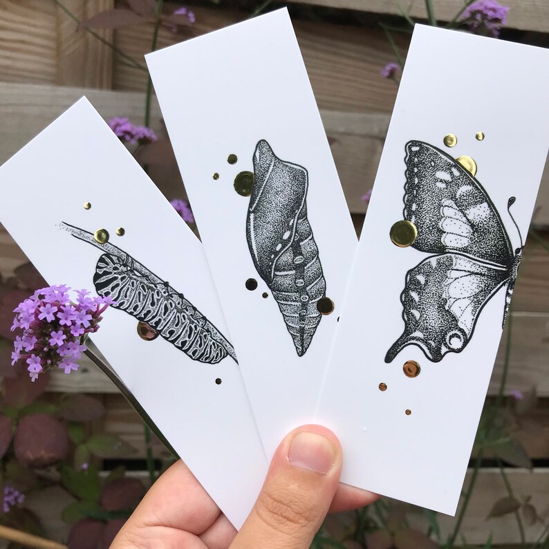 Single or Set bookmarks with Gold Foil Life Cycle Butterfly Papilio Machaon, caterpillar, pupae, swallowtail butterfly Complete Set of 3