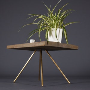 May include: A square wooden table with a gold metal tripod base. A potted plant with green and white leaves sits on the table.