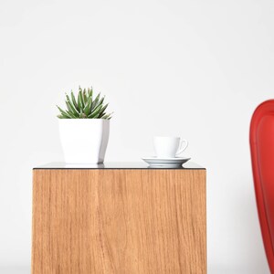 May include: A small potted succulent plant sits on a wooden end table with a white cup and saucer. A red armchair is in the background.