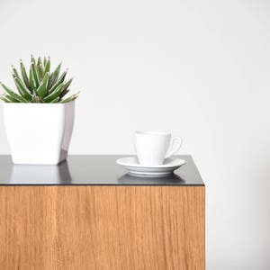 May include: A wooden end table with a black glass top. A white ceramic cup and saucer are on the table, and a potted succulent plant is on the left side of the table.