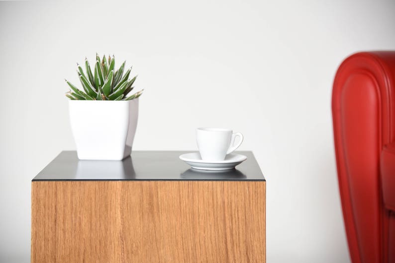 May include: A wooden end table with a black glass top. A white ceramic cup and saucer are on the table, and a potted succulent plant is on the left side of the table.