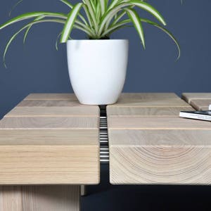 May include: A light-colored wooden coffee table with a modern design. The table features a series of rectangular wooden blocks, with a white ceramic pot holding a green plant. A stack of books rests on the table.