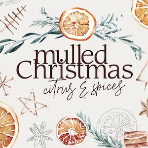 Mulled Christmas Citrus and Spice Watercolor Clipart - Christmas Design Invitations Winter Wedding Illustrations - Motivo di agrumi secchi