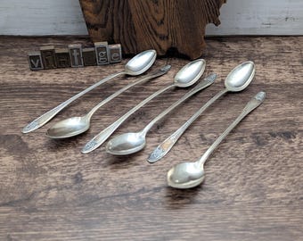 Cucharas de té helado Princess Lady Doris bañadas en plata - Juego de 6
