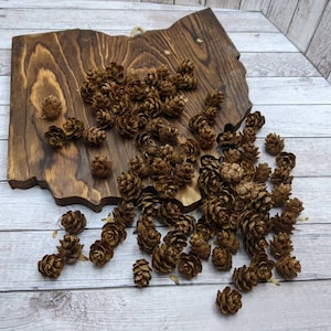 May include: A wooden Ohio state-shaped plaque with a dark brown stain, adorned with numerous small brown pine cones. The plaque is hanging by a natural fiber string. The pine cones are scattered across the plaque and the light-colored wooden surface.
