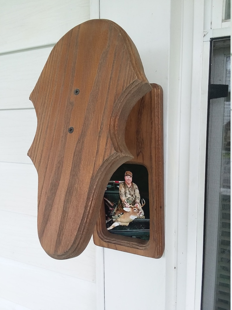Taxidermy European Deer Mounting Panel With 4x6 window for photo display