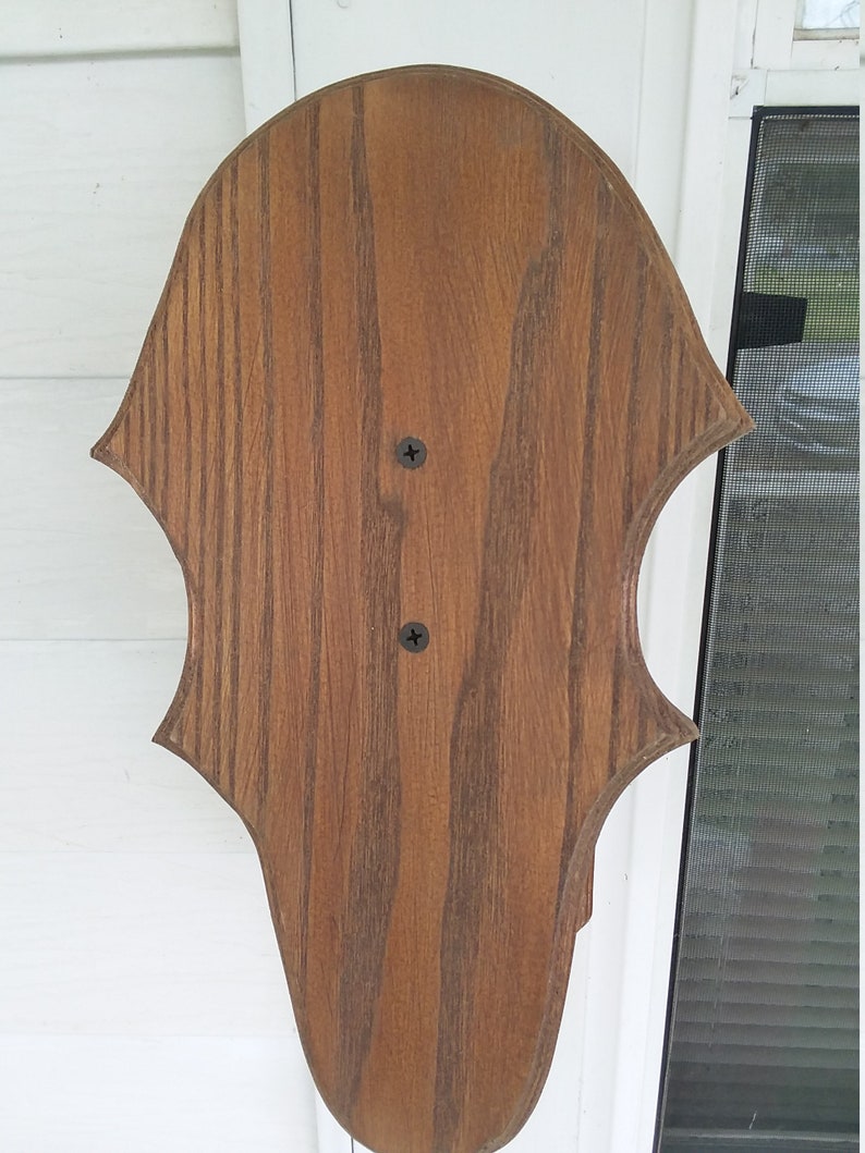 Taxidermy European Deer Mounting Panel With 4x6 window for photo display