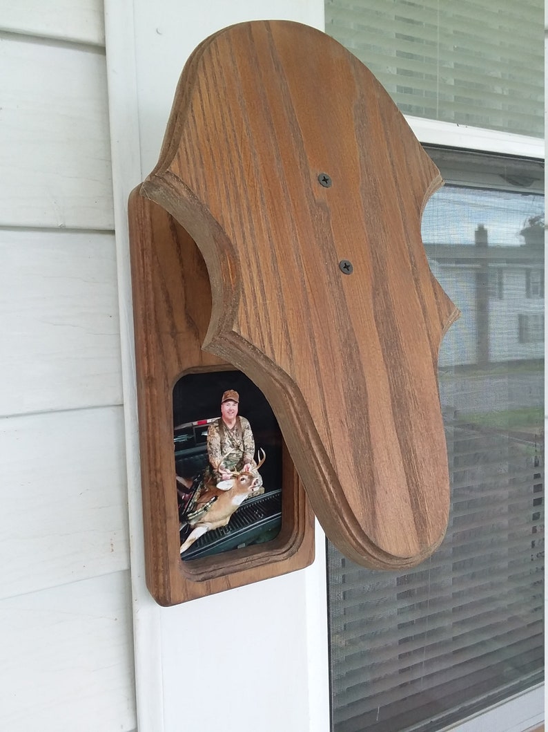 Taxidermy European Deer Mounting Panel With 4x6 window for photo display