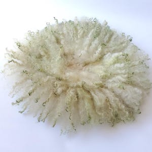 Puede incluir: Producto circular de fibra de lana blanquecina con una textura densa y rizada. La lana tiene sutiles reflejos verdes, creando una apariencia natural y orgánica. El producto se utiliza probablemente para manualidades o proyectos textiles.