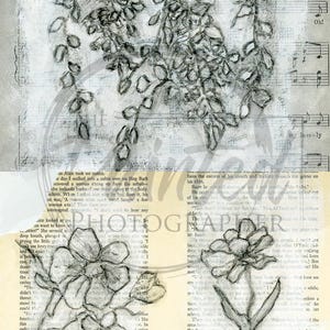 May include: Grayscale mixed media artwork with pencil sketches of flowers and botanical illustrations. The background incorporates sheet music and text from a book page, giving a vintage feel. The artwork is in monochrome.