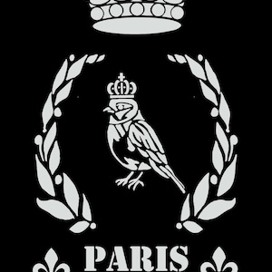 Decoupage Queen Little Bird-schablon, 10 x 10, 10 ml, Återanvändbar, Färg, Bläck, Vintage, Fransk lantlig, Strukturpasta