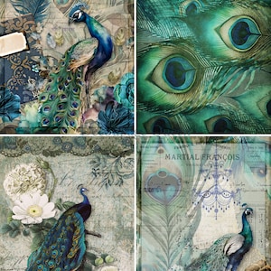 May include: A collage of four images featuring peacock illustrations. The images showcase peacocks with vibrant blue and green plumage, set against vintage backgrounds with floral and feather motifs. The artwork has a watercolor effect.