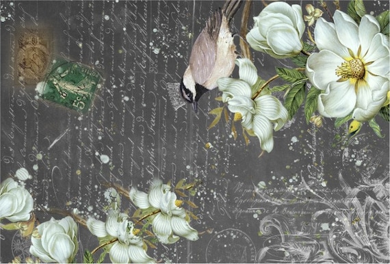 Roycycled 21 x 29 inch, 18mm weight, Summer Bird Decoupage Paper, Furniture upcycle, Tissue paper, Vintage design, Floral decor