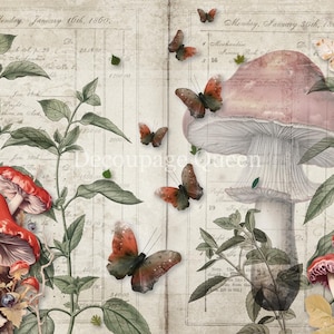 May include: A vintage-style illustration featuring a pink mushroom with a white stem, surrounded by green leaves and orange butterflies. The background is a page from a journal with handwritten text.