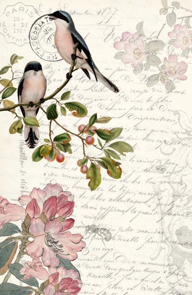 10 Decorative paper napkins for decoupage-bird, floral, chinoiserie, egret