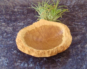 Stunning BROWN MALLEE BURR dish with natural edge*Coin dish*Gift for birthday, anniversary, wood lover, Mother's/Father's Day*Giftbox