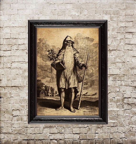 Druid Celtic Print Poster Wall Decor Irish Pagan Priest Gift Heathen Ilration 255