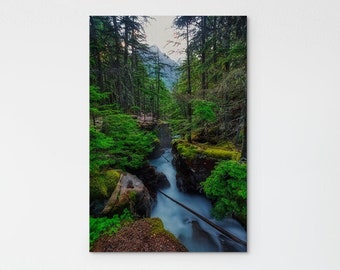 Glacier National Park photo – Avalanche Creek photo – Montana forest river tree – Metal print acrylic art – Glacier travel gift nature lover