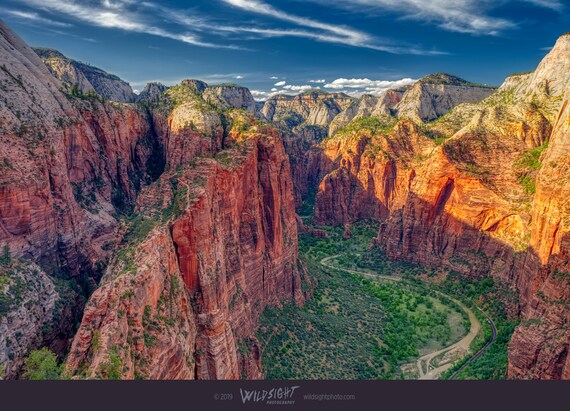 are dogs allowed in angels park zion national park