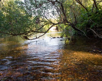 River water photography – Missouri Ozarks landscape photography – Peaceful calm acrylic print – Creek stream metal print – Large canvas art