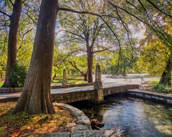 Landa Park New Braunfels Texas photo – New Braunfels metal print – Texas acrylic canvas – Landa Park Comal River souvenir gift – Bridge tree