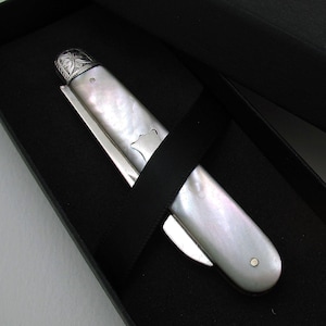 Fijne kwaliteit Sheffield antiek Victoriaans 1899 sterlingzilver en parelmoer opvouwbaar fruitmes