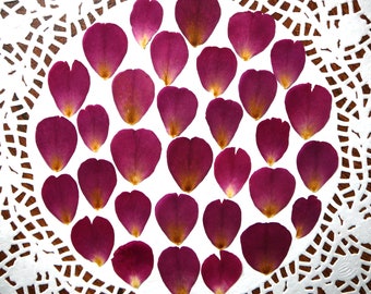 Dried pressed rose petals 30 pcs.